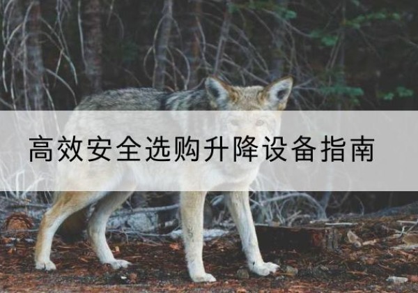 桐庐升降货梯厂家推荐-*安全选购升降设备指南