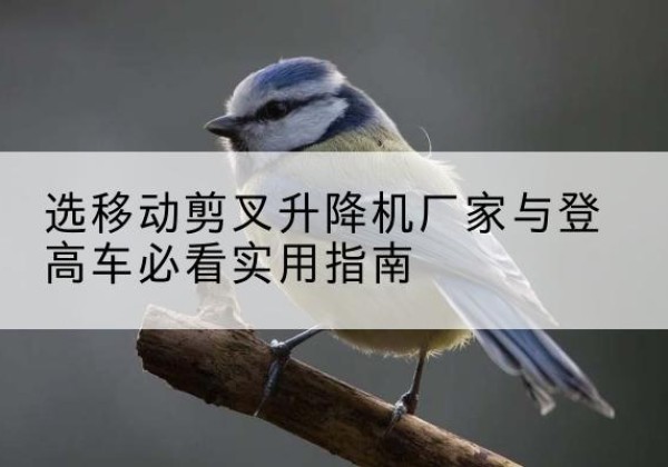 桐庐电动升降机厂家-选移动剪叉升降机厂家与登高车必看实用指南