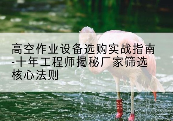 桐庐剪叉式升降机厂家-高空作业设备选购实战指南-十年工程师揭秘厂家筛选核心法则